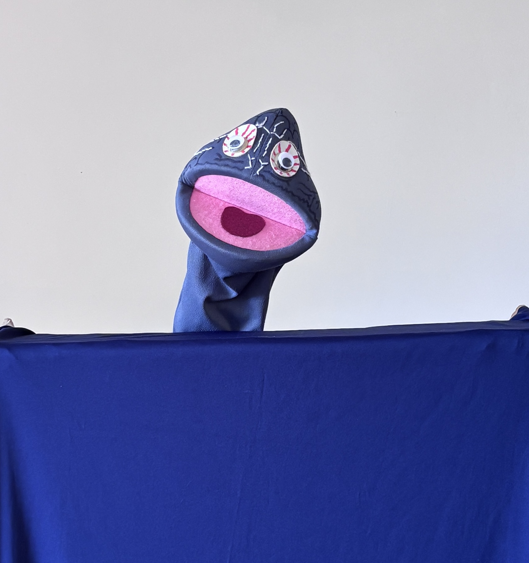 Brain Box puppet portrait